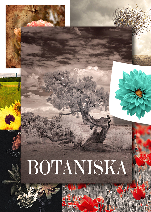 Kategori: Botaniska