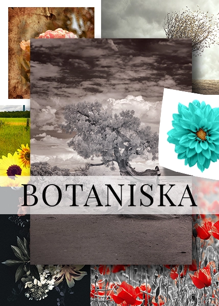 BOTANISKA RUTA vit banner