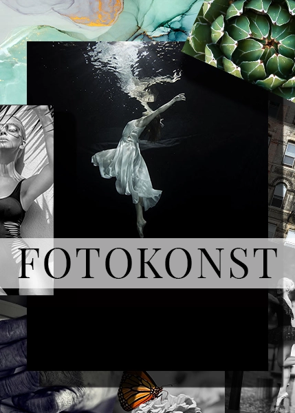 FOTOKONST RUTA vit banner
