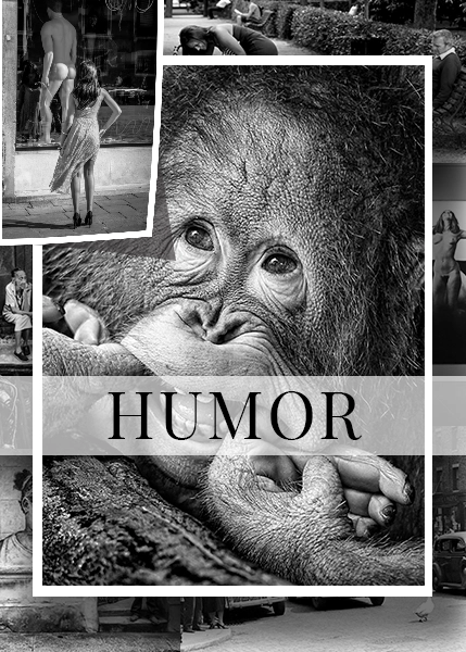 HUMOR RUTA Vit Kant vit banner