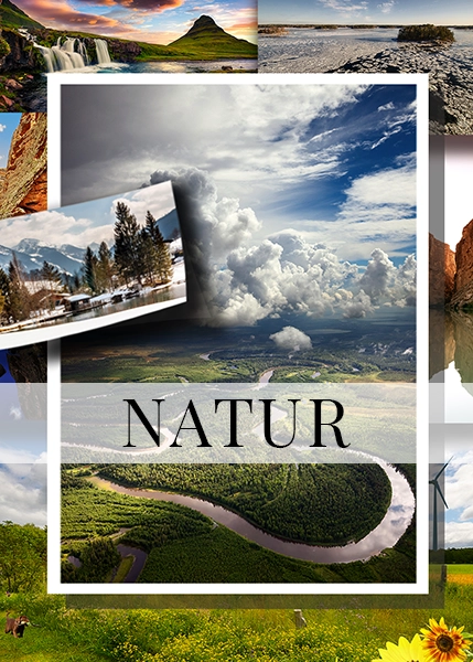 NATUR RUTA vit banner