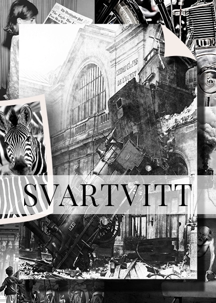 SVART-VITT RUTA vit banner