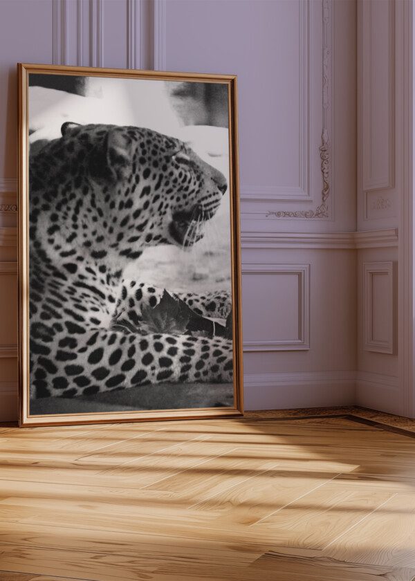 LEOPARD