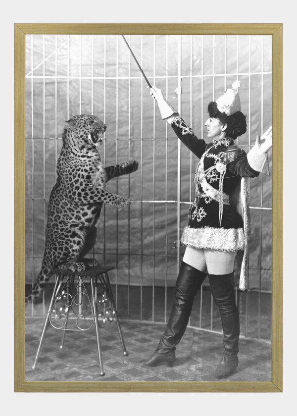 LEOPARD PERFORMER