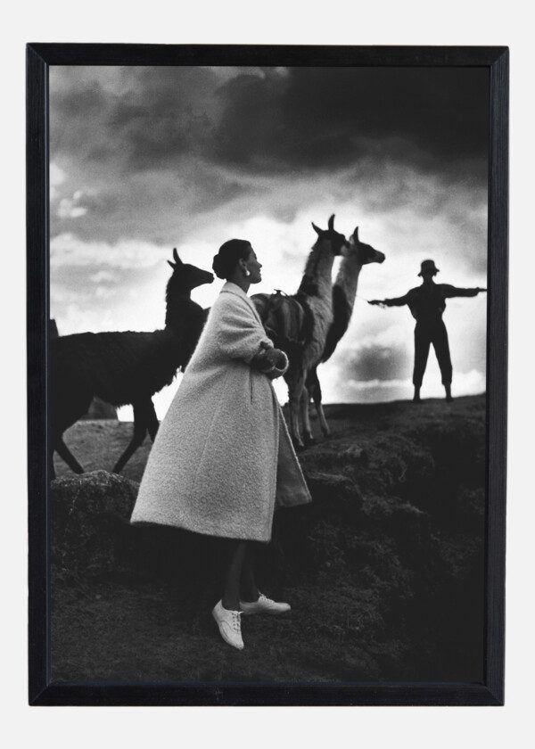 FASHION MODELS WITH LLAMAS, CUSCO, PERU 1952