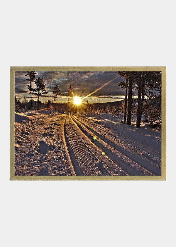 WINTER SUNRISE