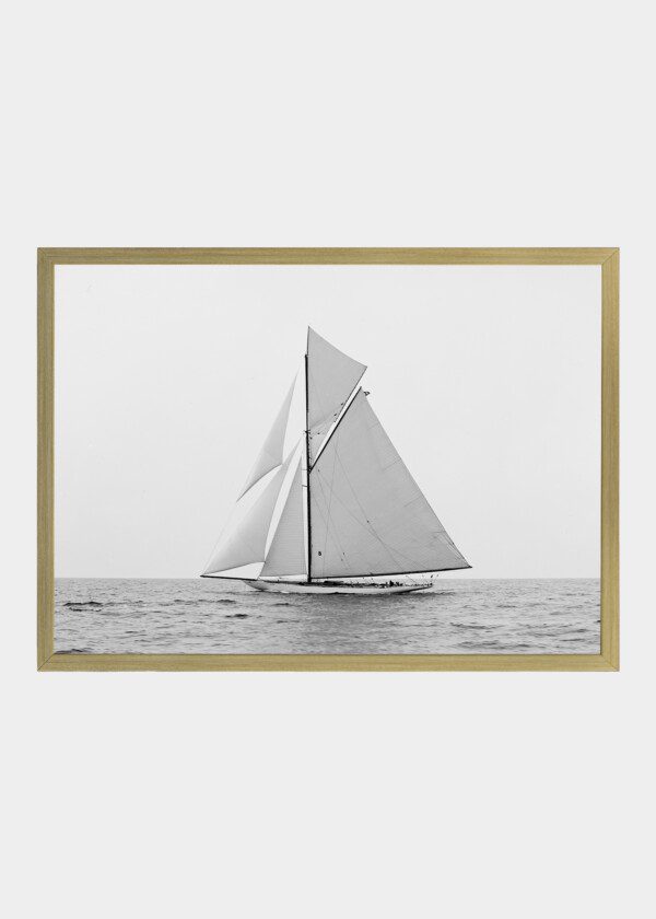 YACHT CONSTITUTION