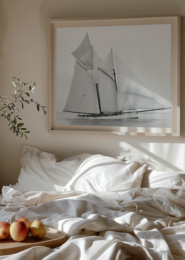 MAYFLOWER