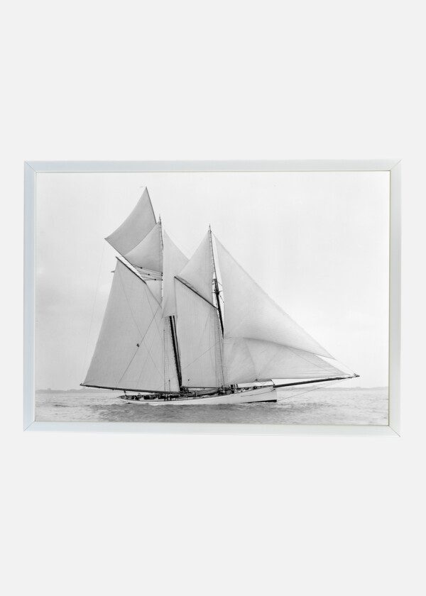 MAYFLOWER