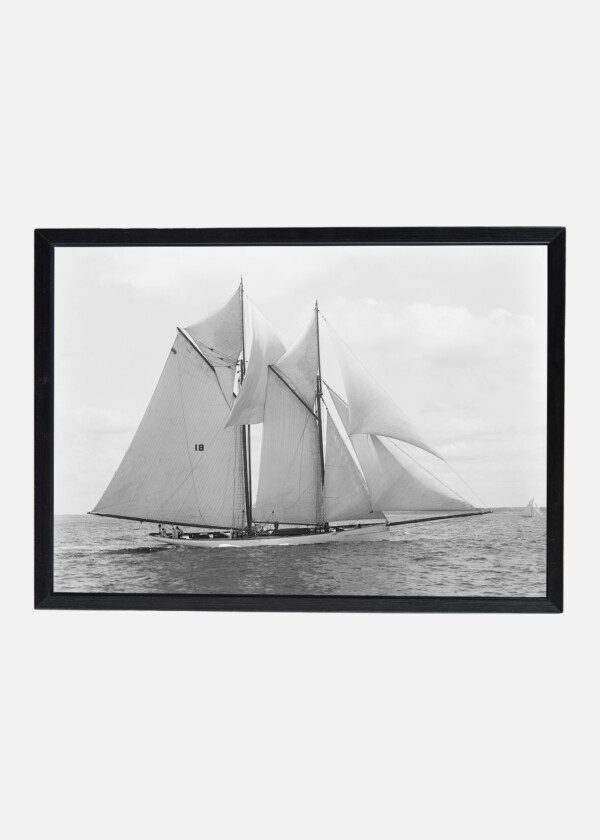 MAYFLOWER