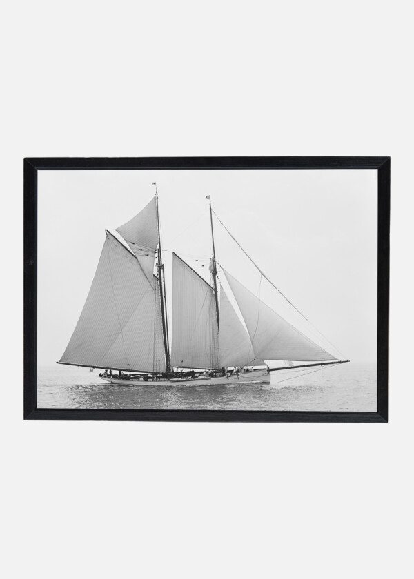 MAYFLOWER
