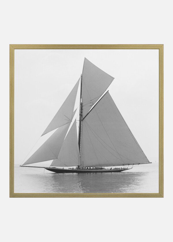 MAYFLOWER