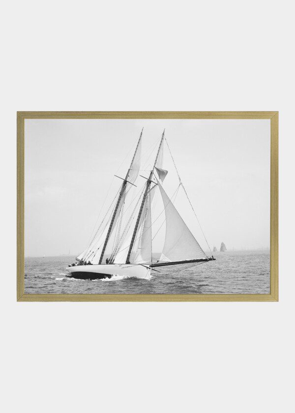 MAYFLOWER