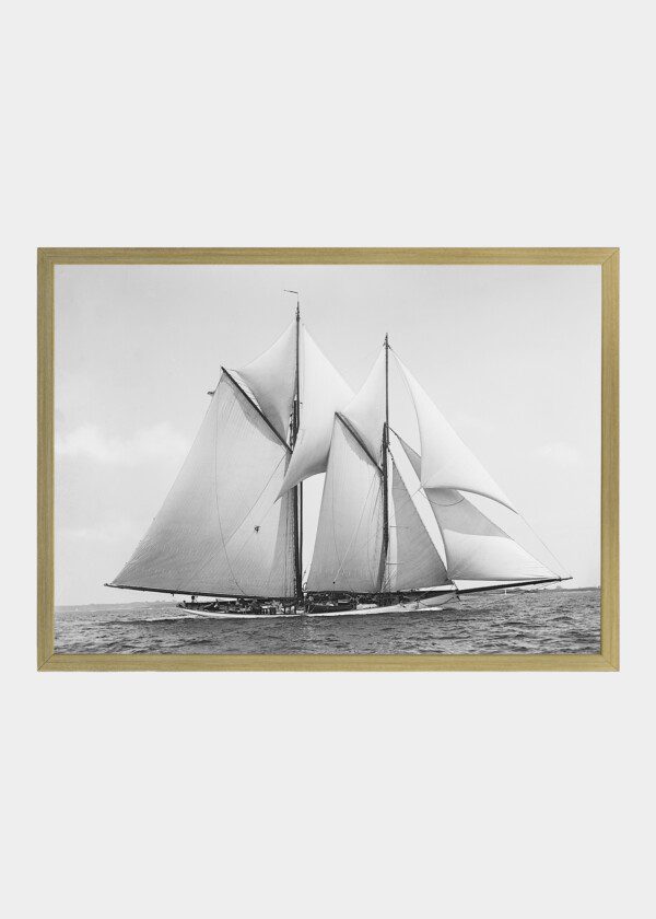 MAYFLOWER