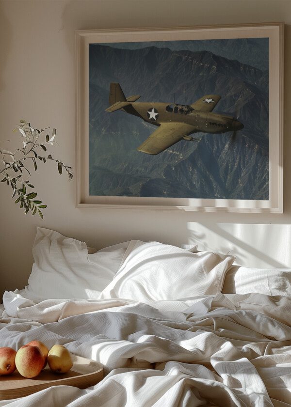 AIRPLANE P 51 MUSTANG