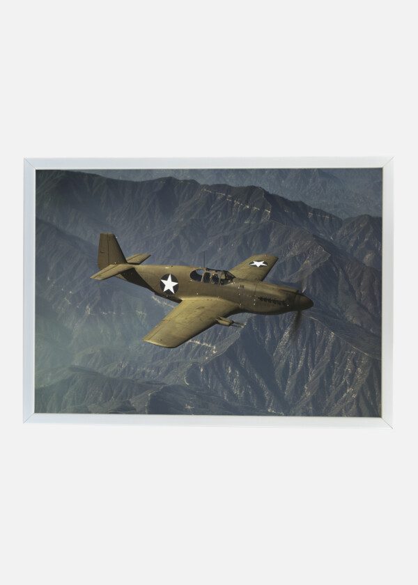 AIRPLANE P 51 MUSTANG