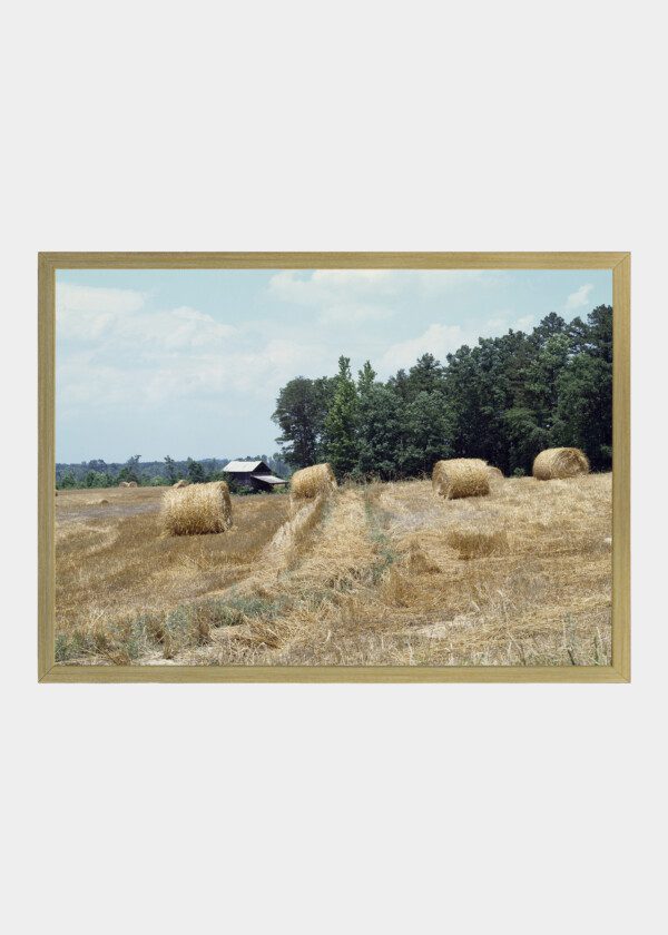RURAL LANDSCAPE