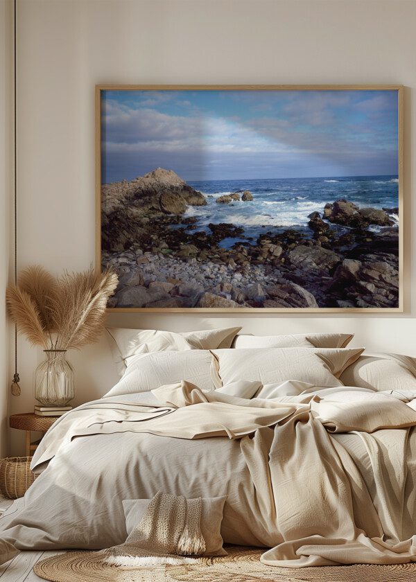 CALIFORNIA COAST