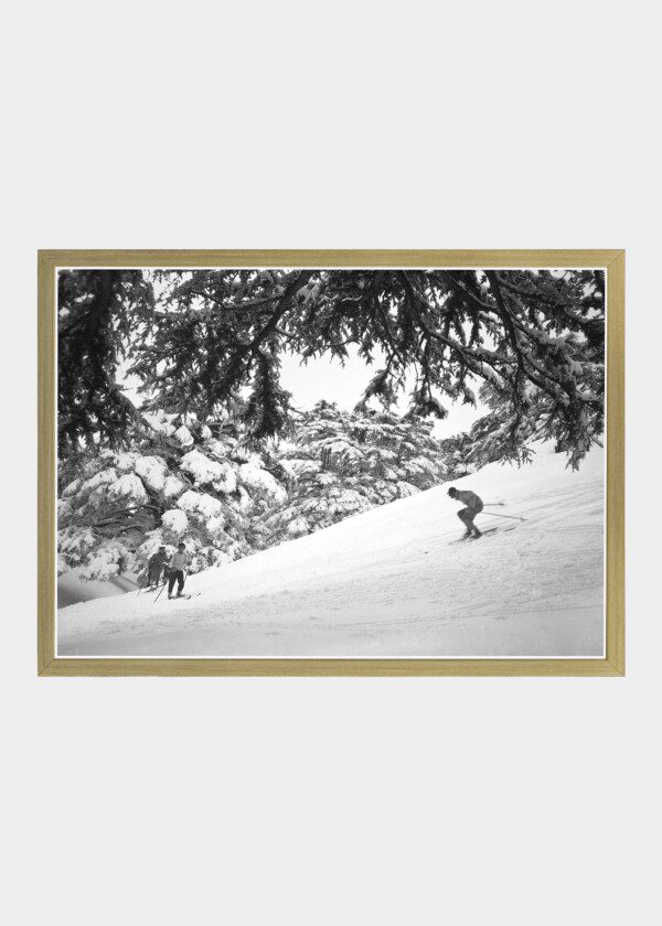 CEDARS, SKIING SLOPE AMONG THE CEDARS 1946
