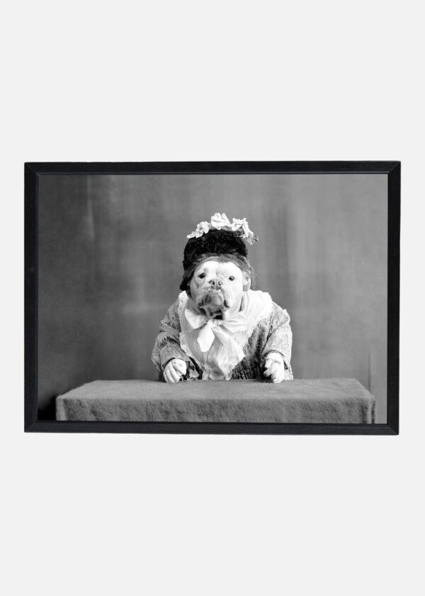 DOG DRESSED UP LIKE HUMAN 1905