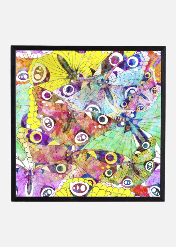 ILLUSTRATION BUTTERFLIES