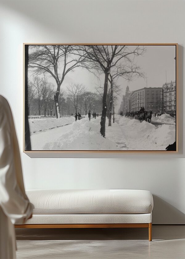 FIFTH AVE. ON A WINTER MORNING, NEW YORK, N.Y. 1900