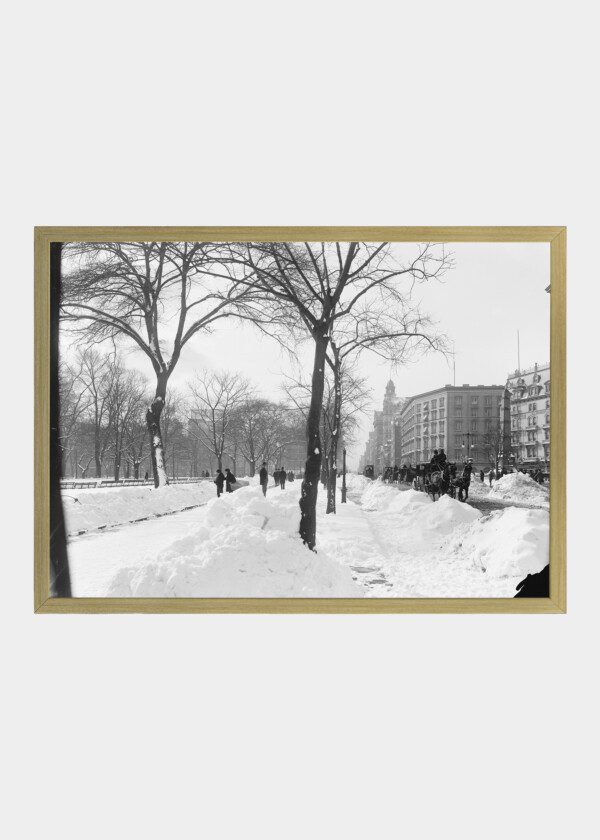 FIFTH AVE. ON A WINTER MORNING, NEW YORK, N.Y. 1900