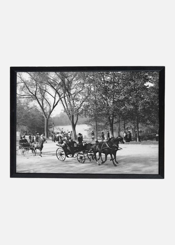 THE LAKE, CENTRAL PARK, NEW YORK ENLARGE 1905