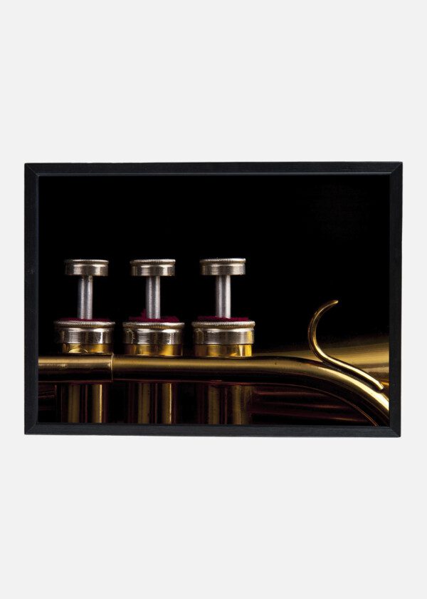 CLOSE UP TRUMPET