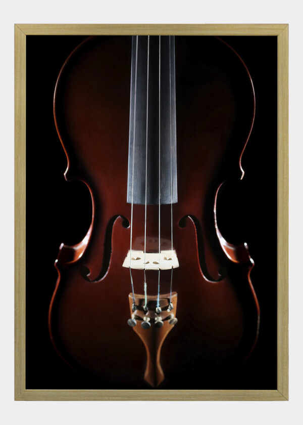 CLOSE UP VIOLIN