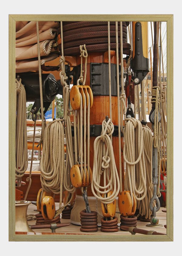 CORDS