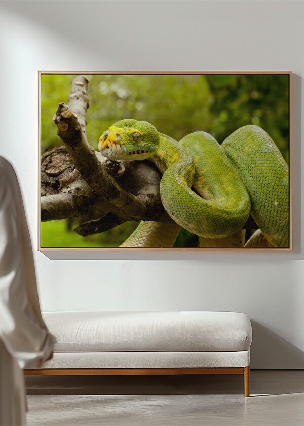 GREEN SNAKE