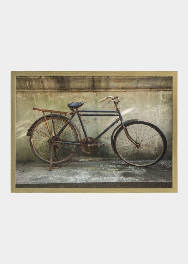 RUSTY BIKE