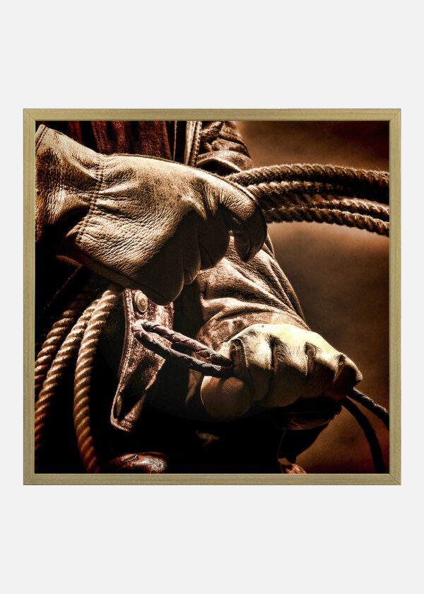 LASSO AND GLOVES
