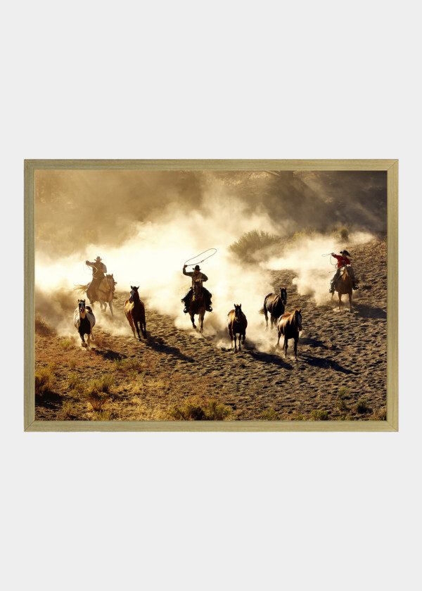 COWBOYS CATCH HORSES