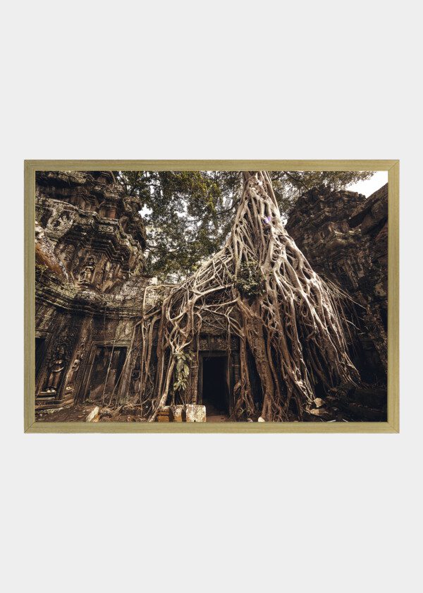 OVERGROWN TEMPLE