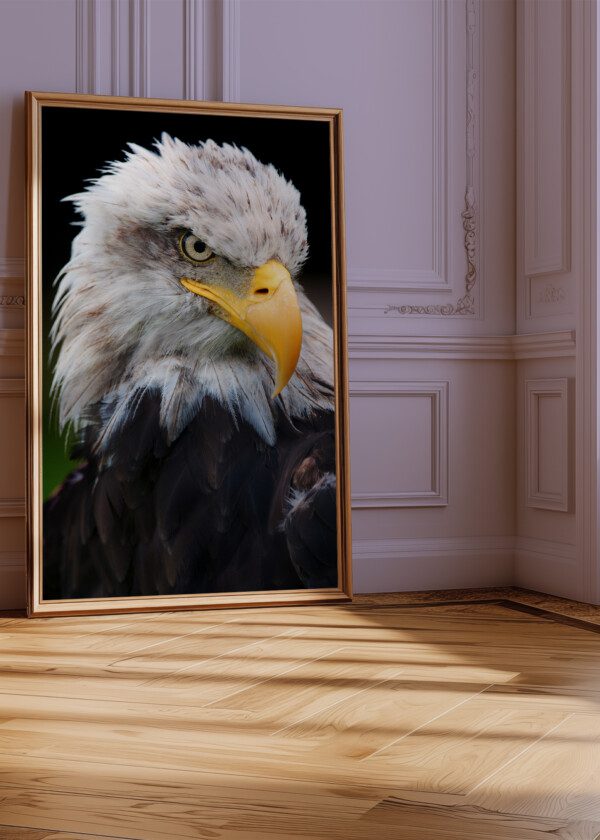 EAGLE