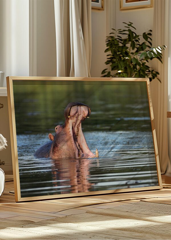 HIPPO