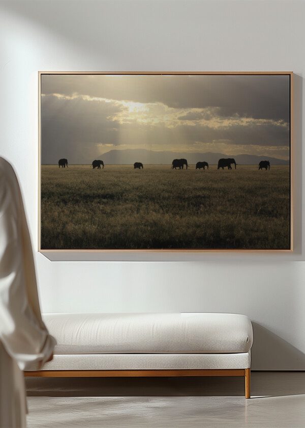 ELEPHANTS ON THE HIKE