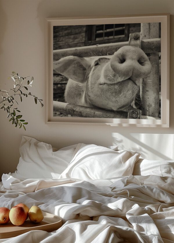 PIG IN CLOSE-UP