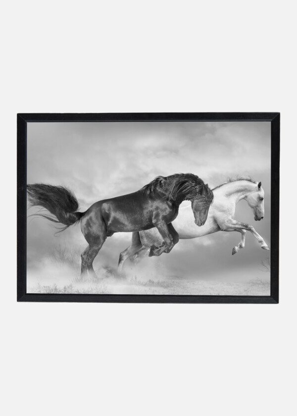 HORSES