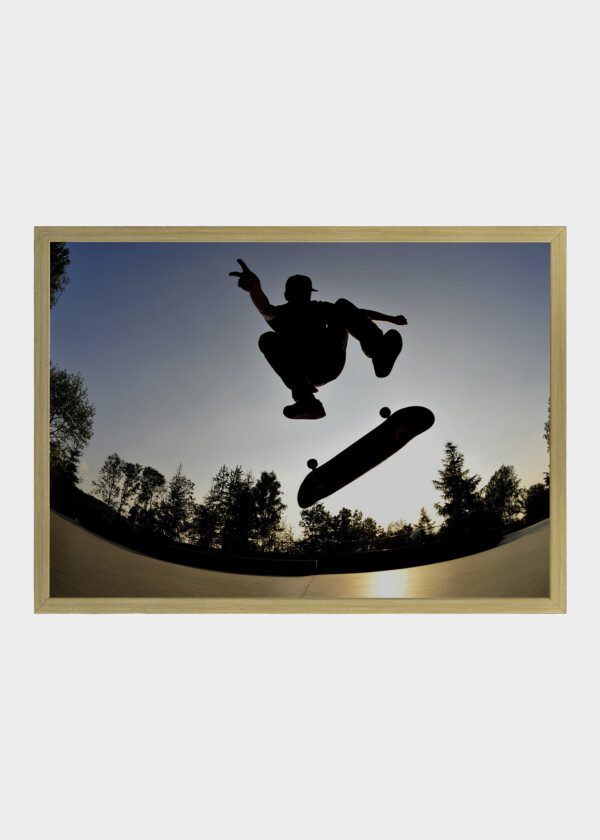 SKATEBOARDERS