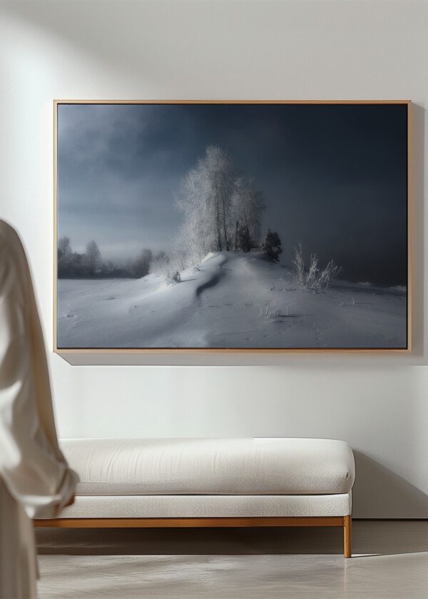 WINTER PICTURE