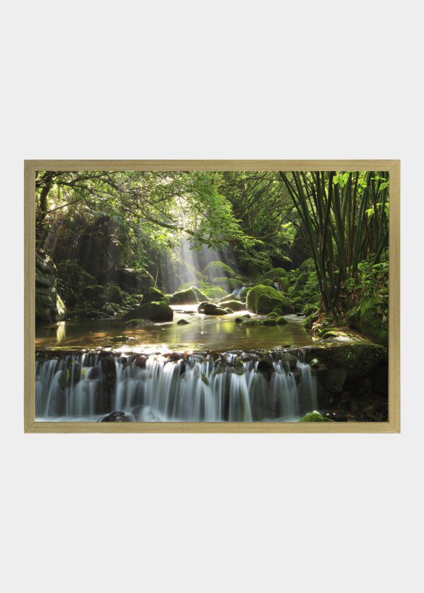 SMALL WATERFALL IN THE FOREST