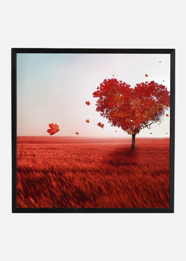 HEART SHAPED MAPLE