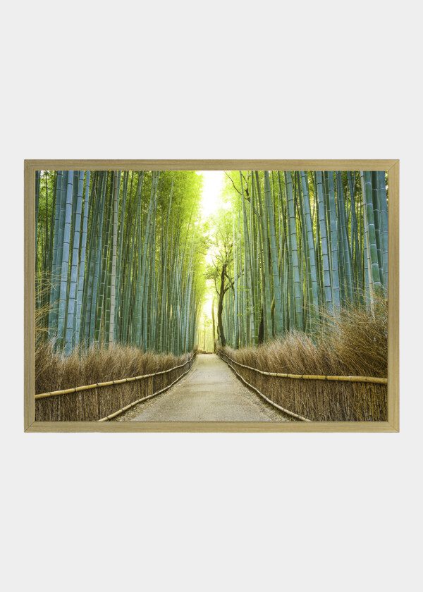 ROAD THROUGH THE BAMBOO FOREST