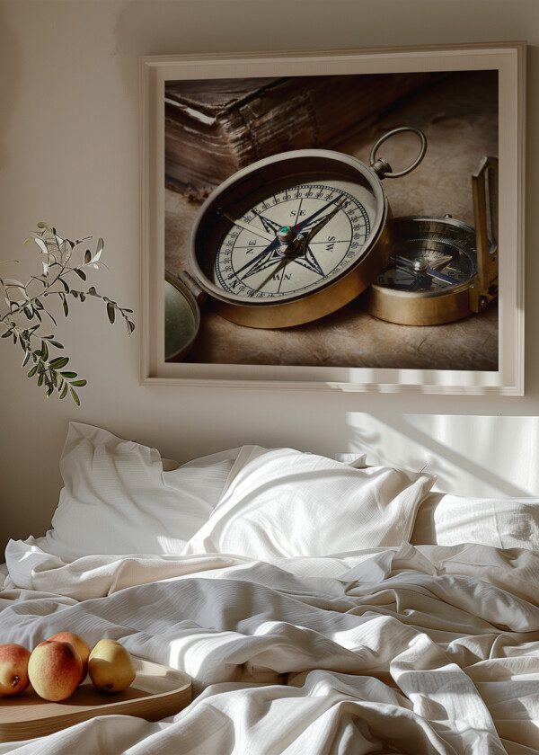 COMPASSES