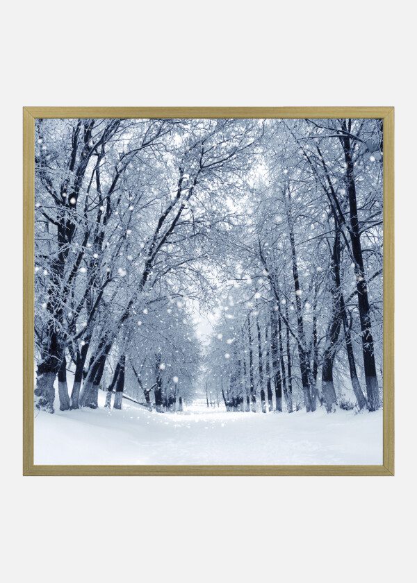 SNOW WEATHER