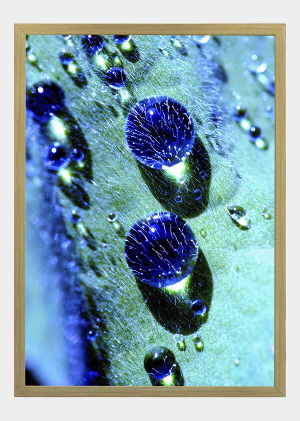 DROPS UNDER A MICROSCOPE