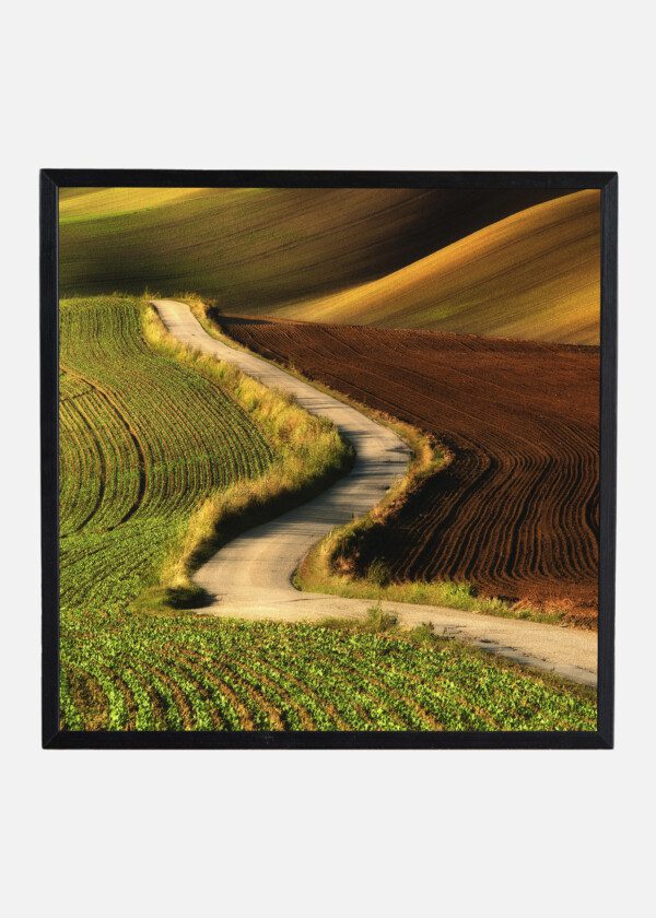 COUNTRY ROAD THROUGH FIELDS
